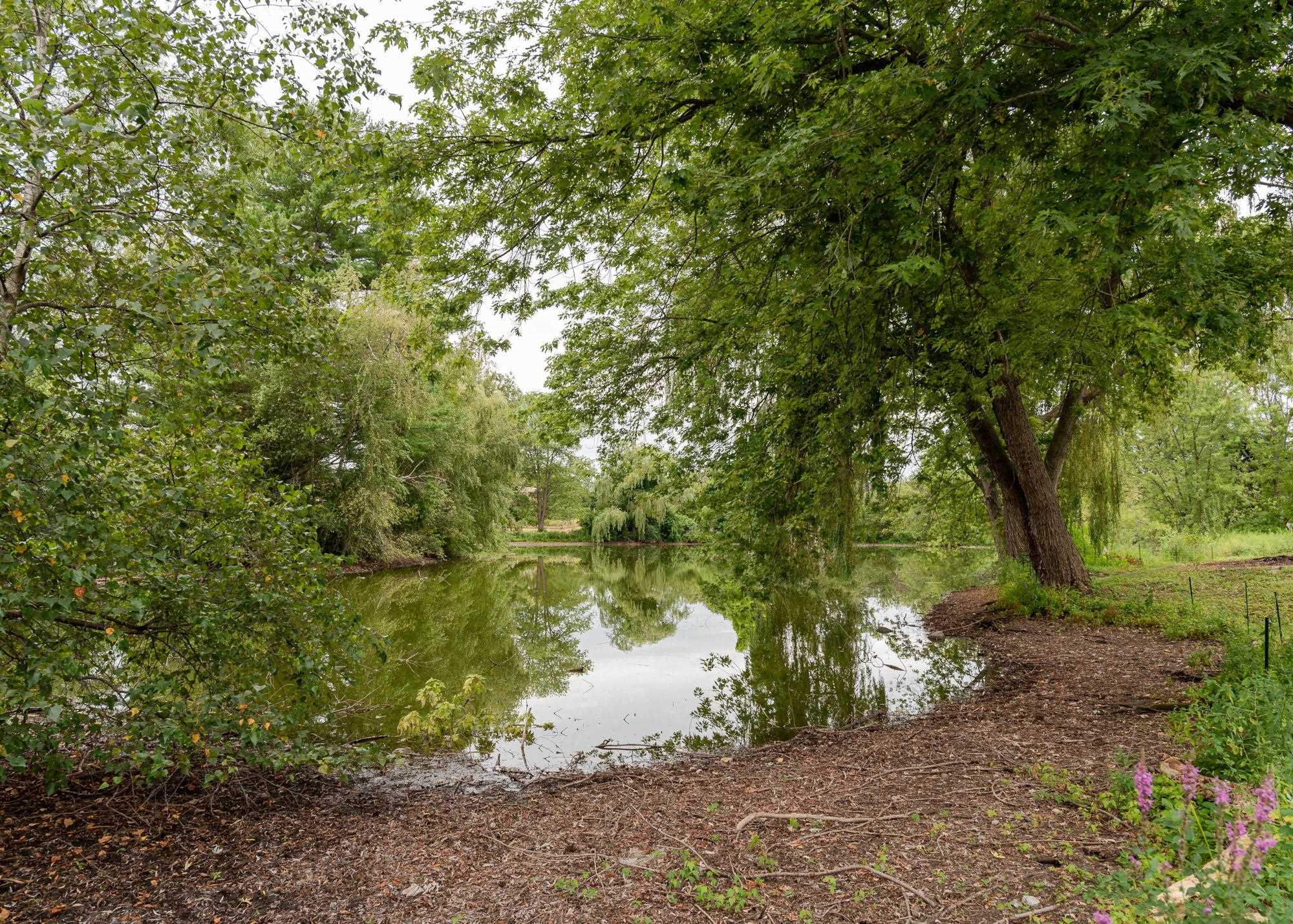 996 Maplewood Avenue Unit: A