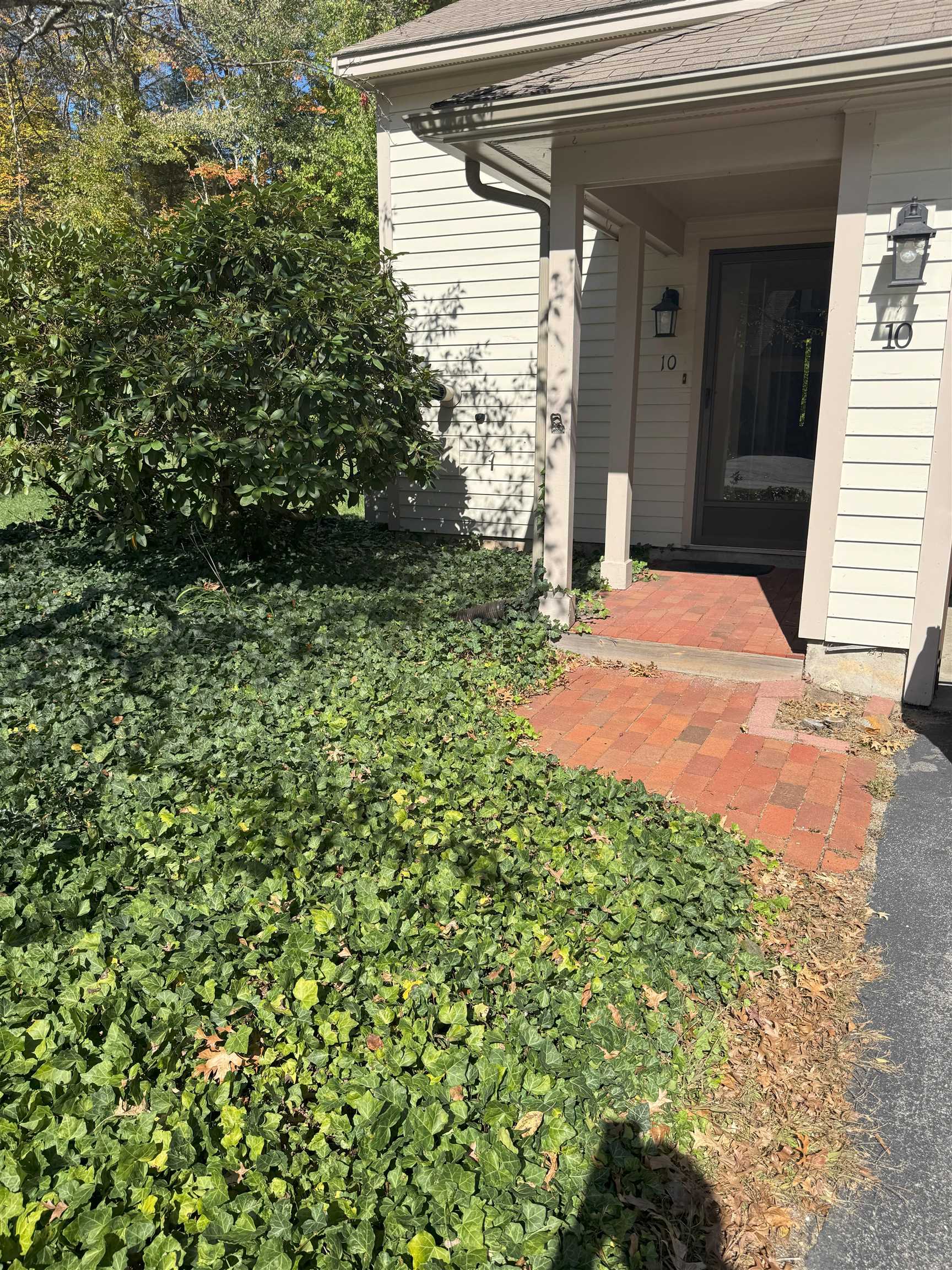 10 Lady Slipper Court