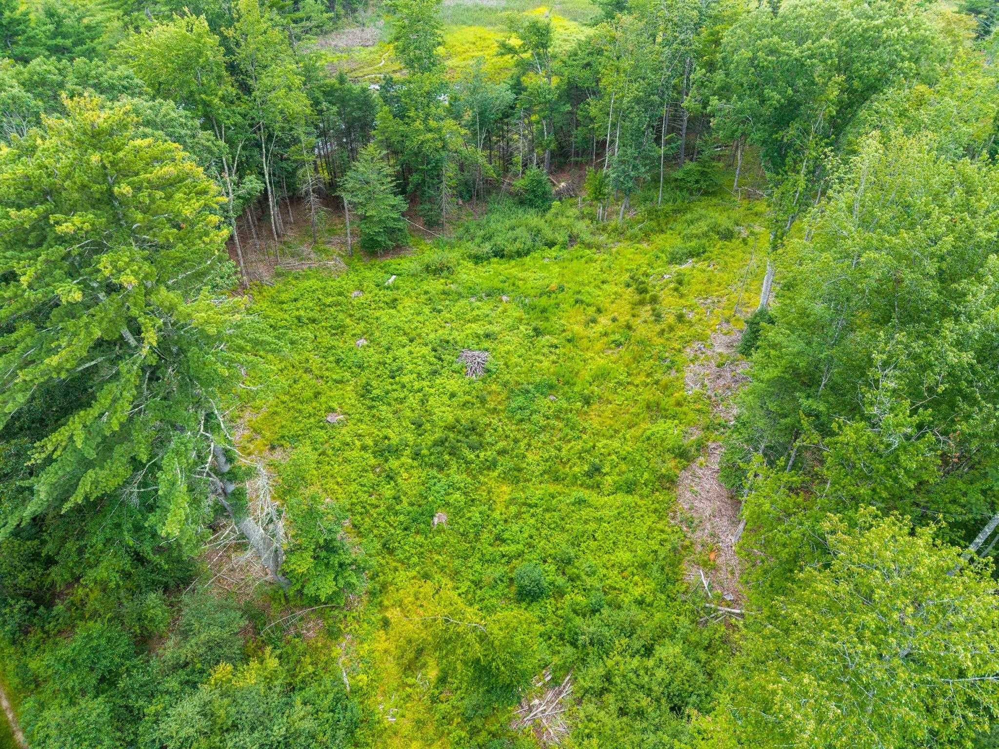 19 Scruton Pond Road