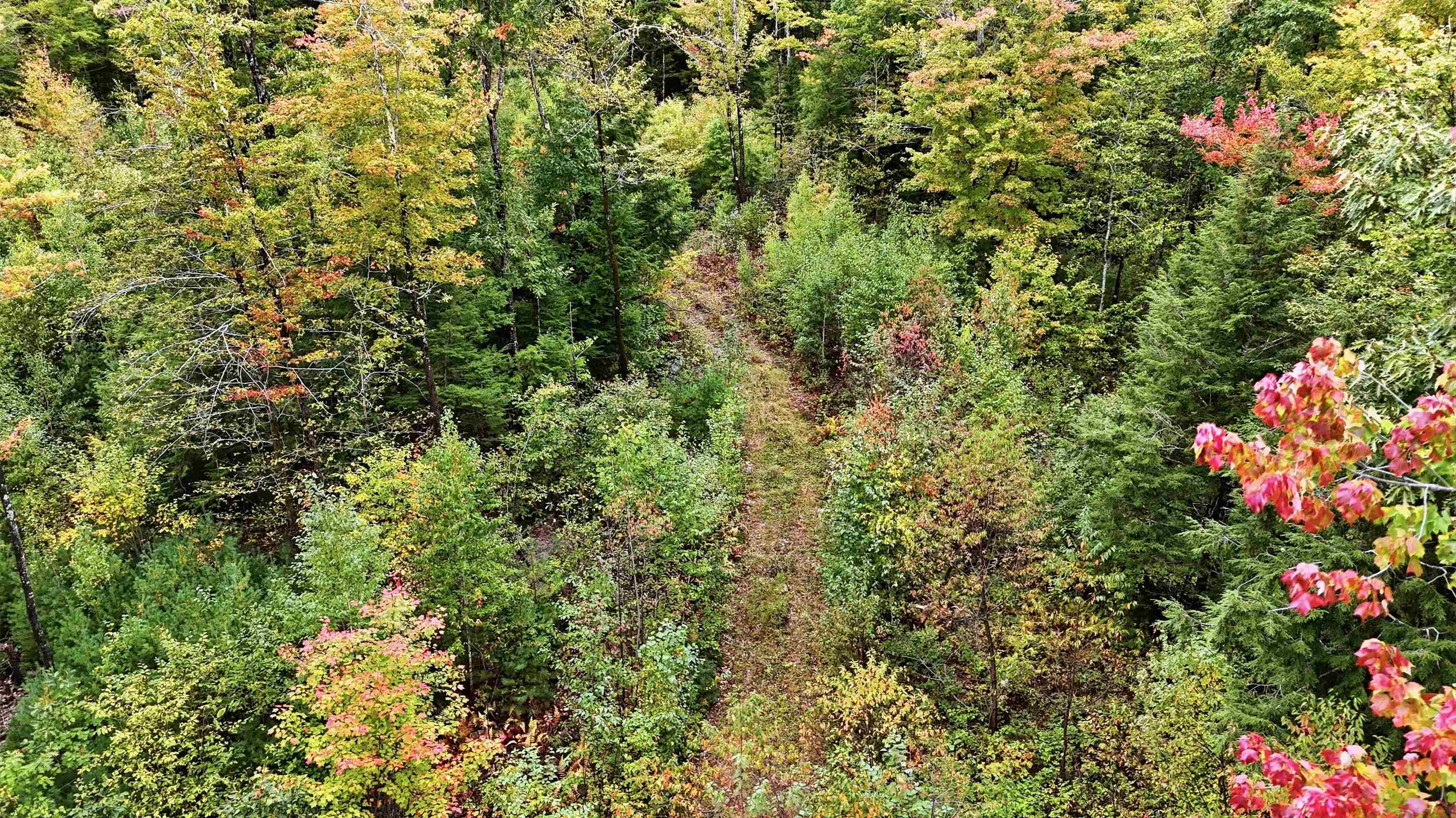 Lot 23 Access Road