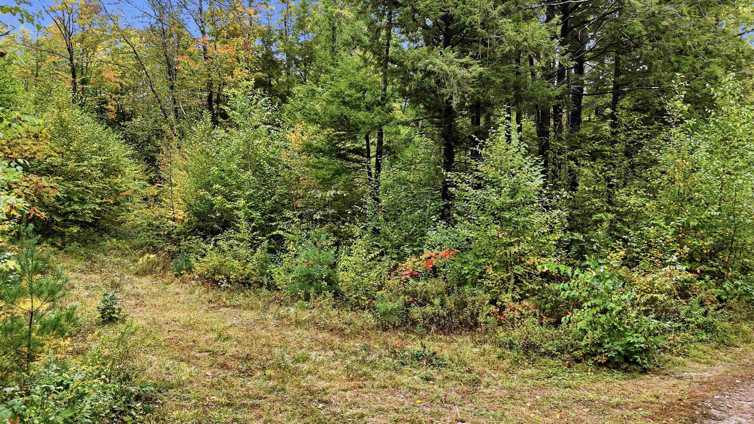 Lot 23 Access Road