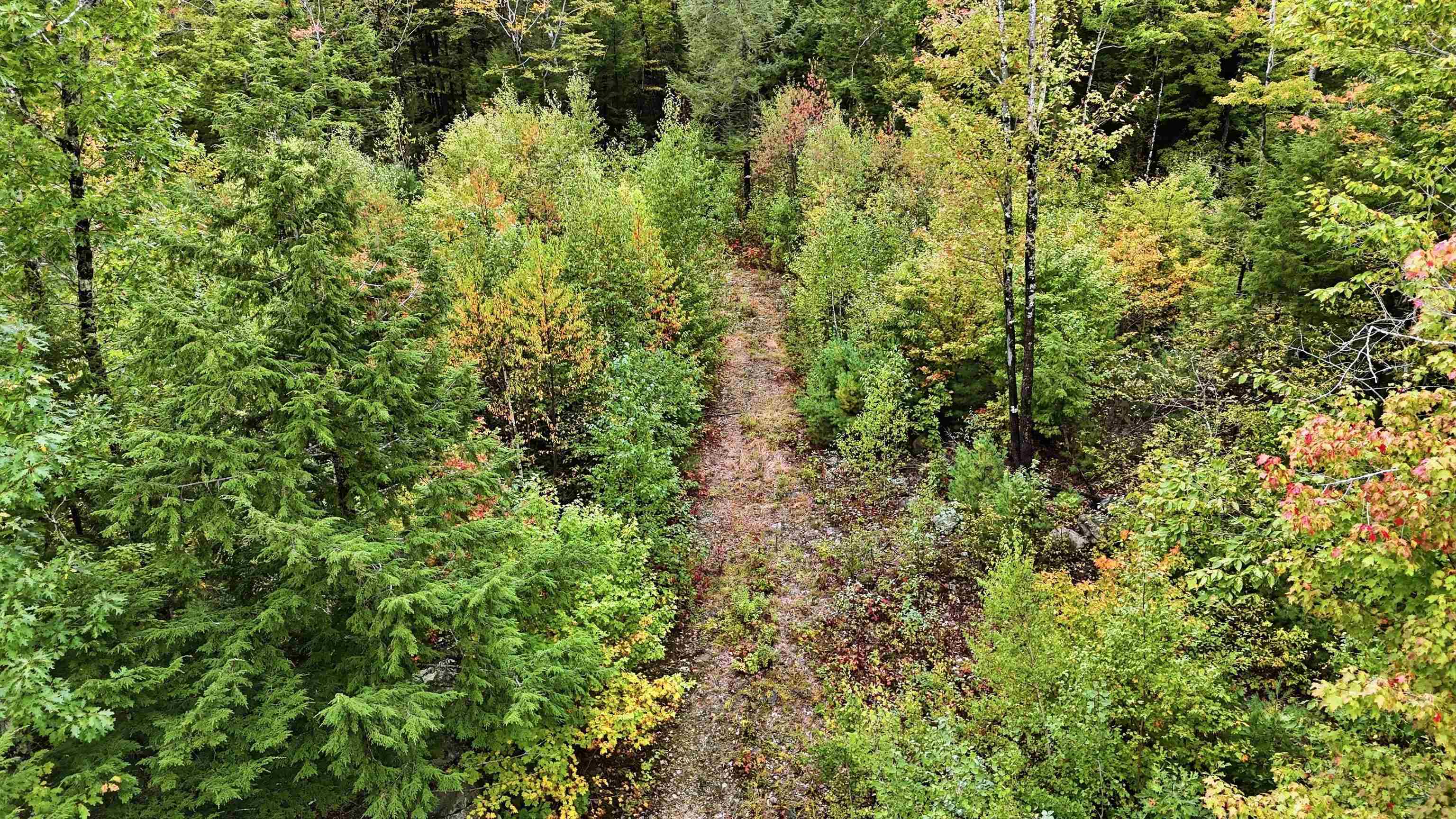 Lot 23 Access Road