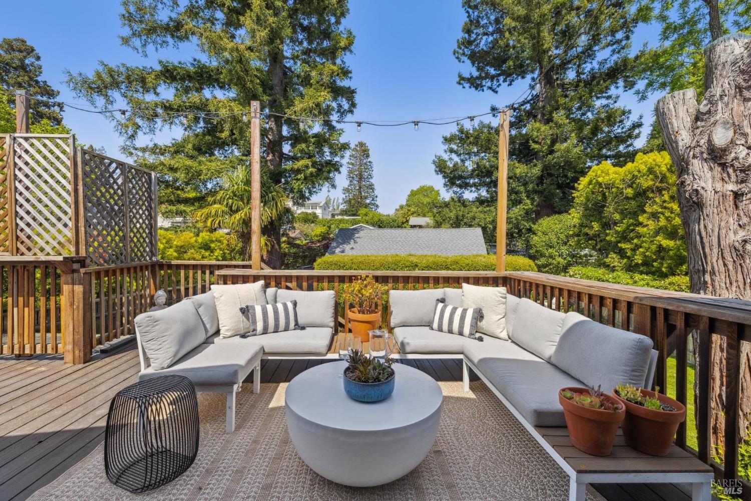 239 Sycamore Avenue Ave