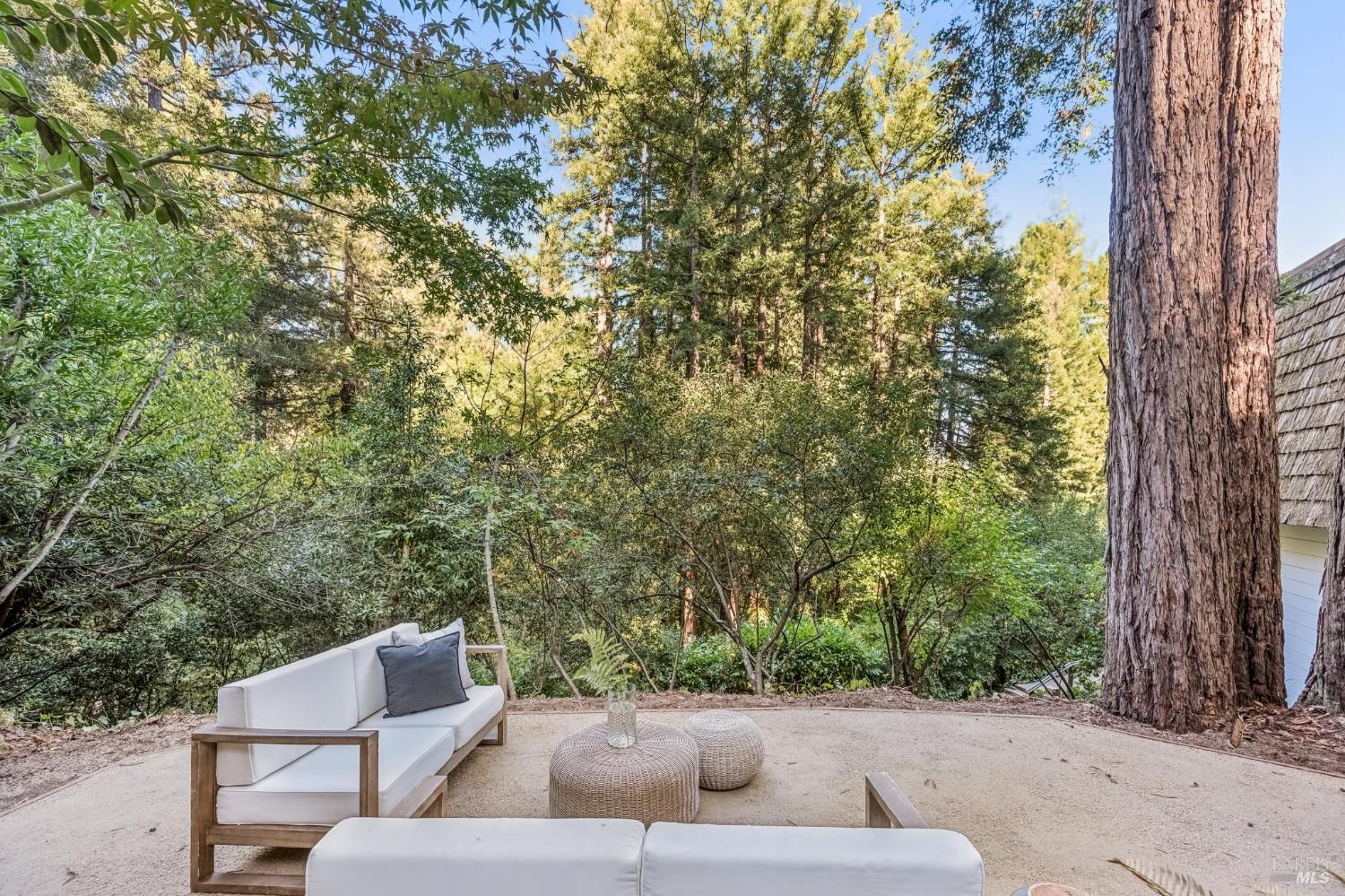 6 Marion Avenue