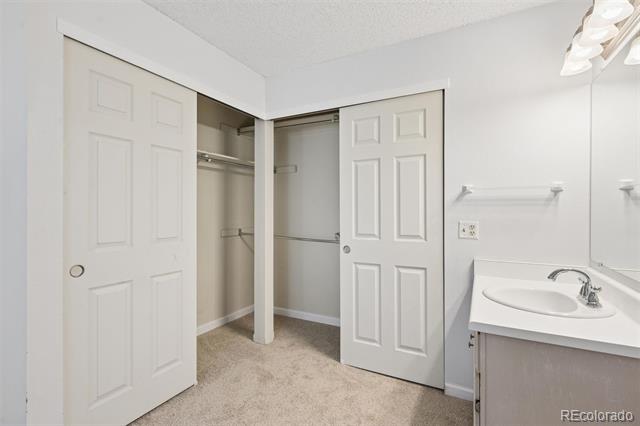 Bathroom vanity beside an open, carpeted walk-in closet.