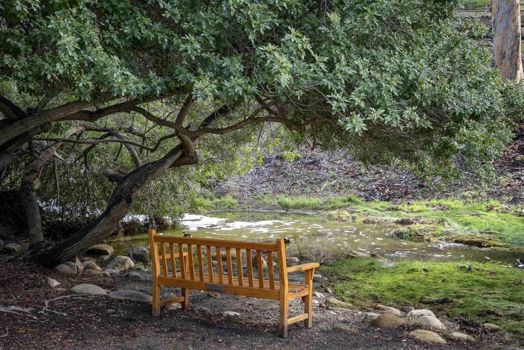 6016 Via Canada Del Osito