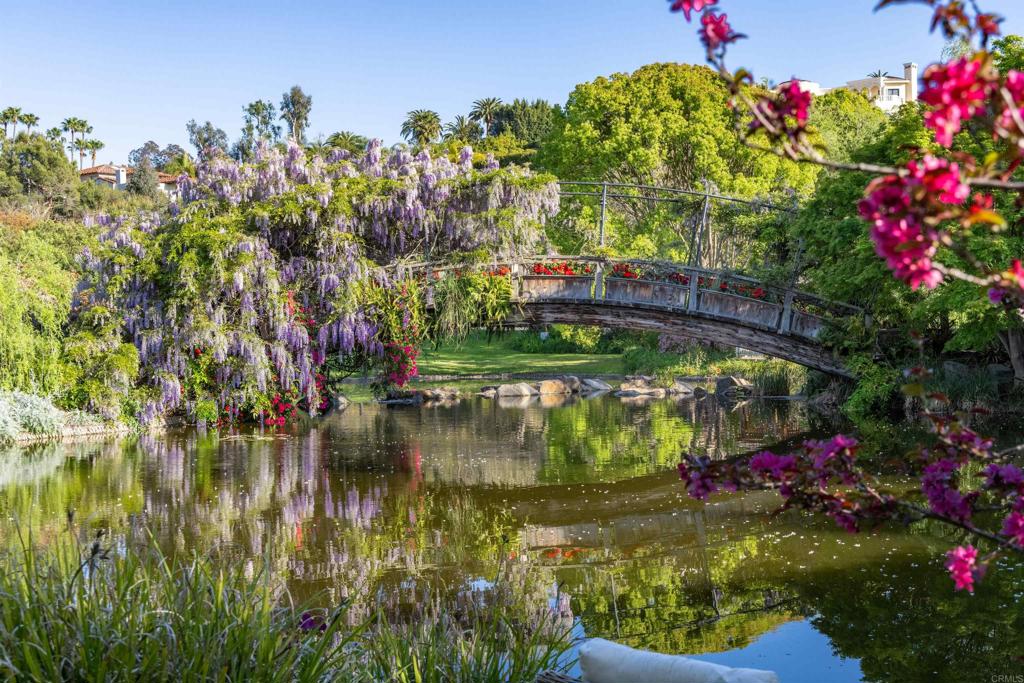 5992 Calle Camposeco