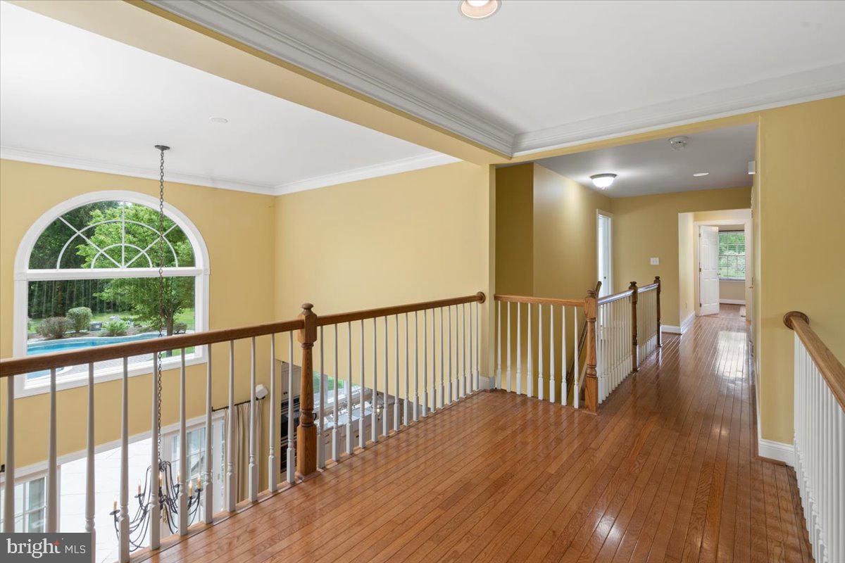 42 Ettl Cir