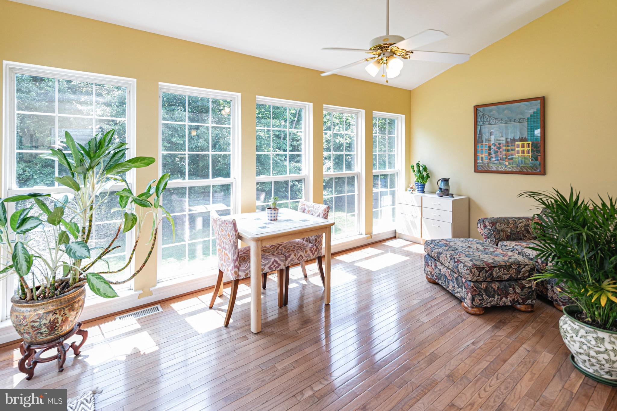 31 Donovan Rd