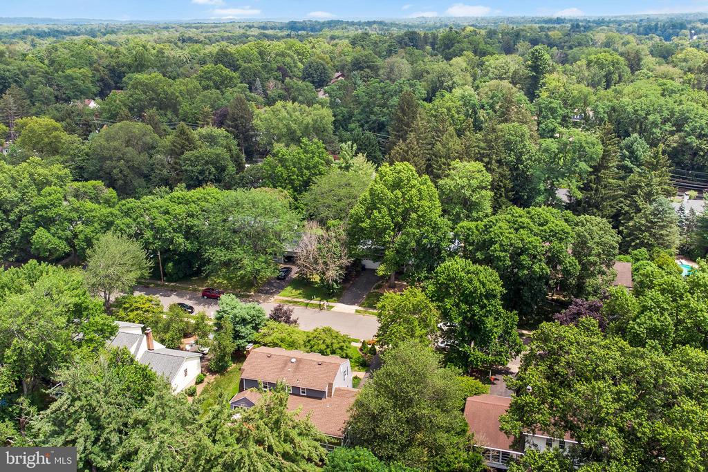 20 SPRINGWOOD