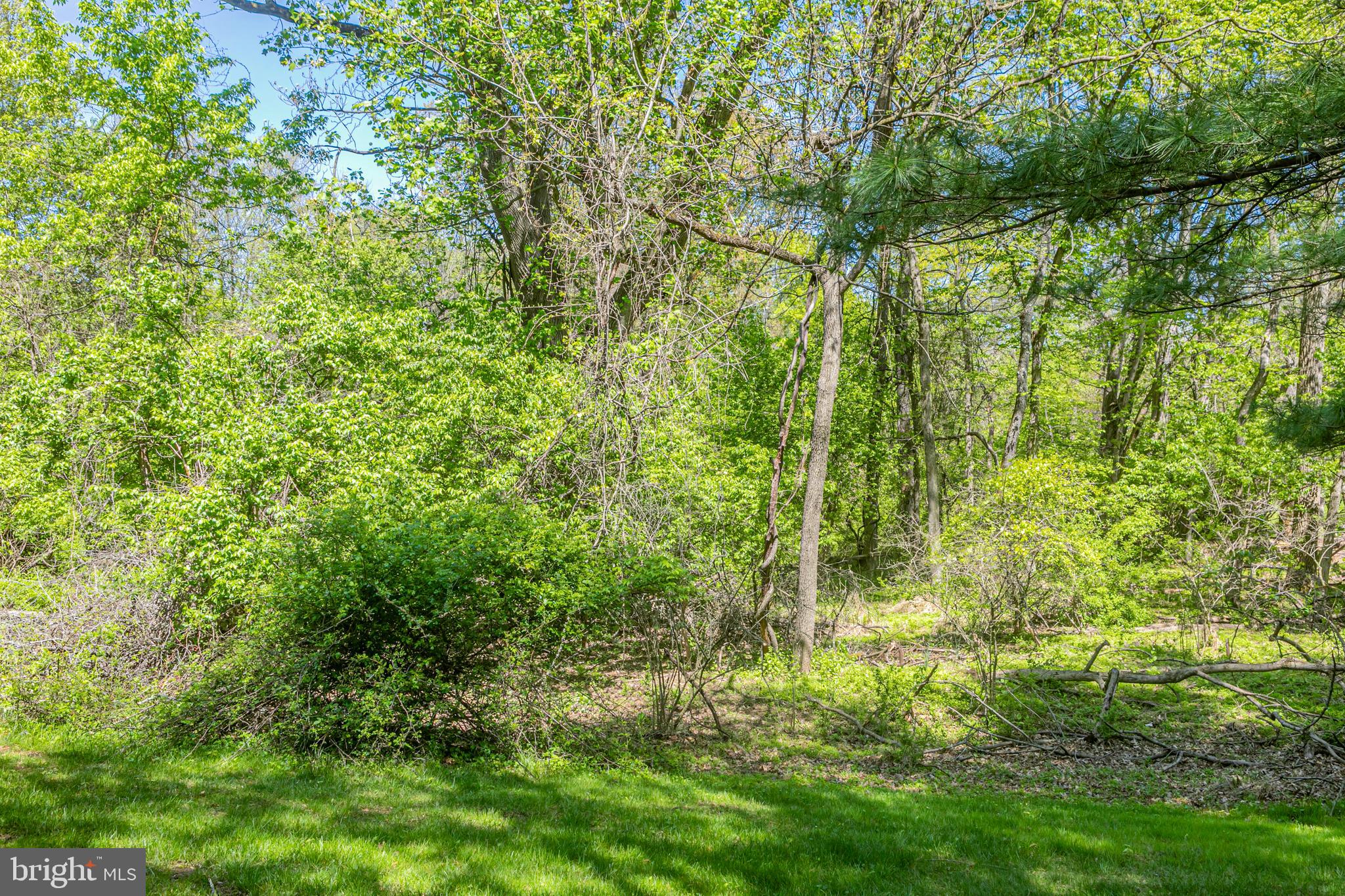 56 BARBERRY COURT