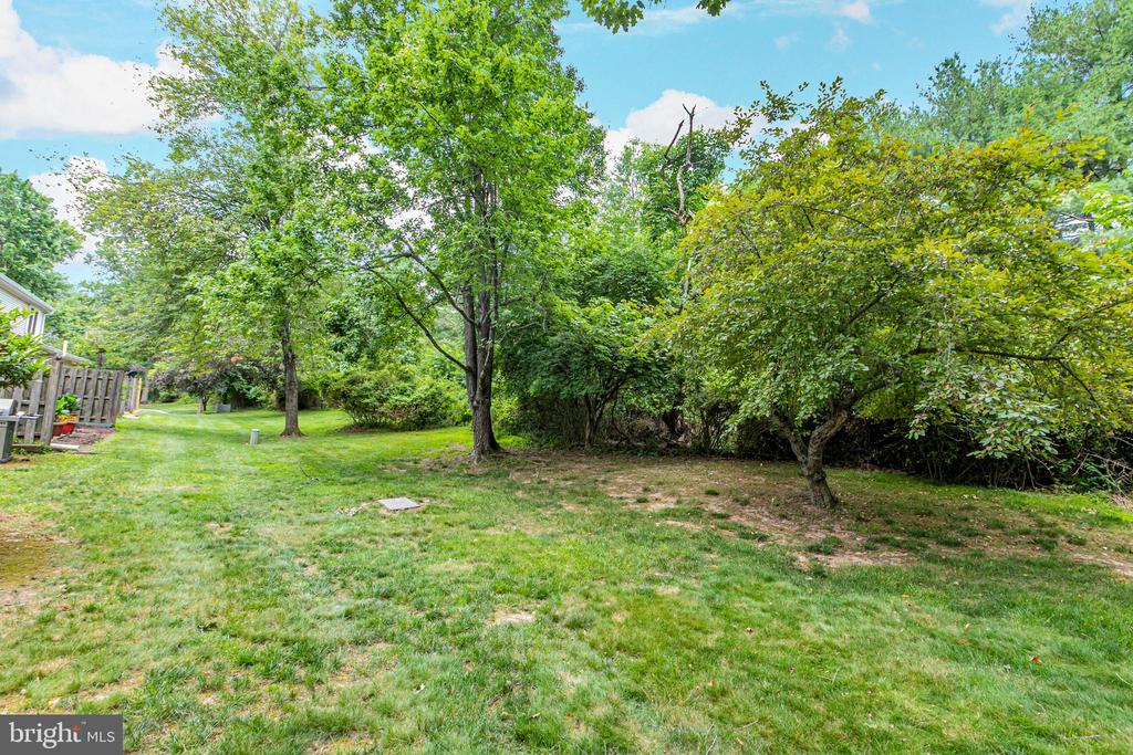 11 ABELIA COURT