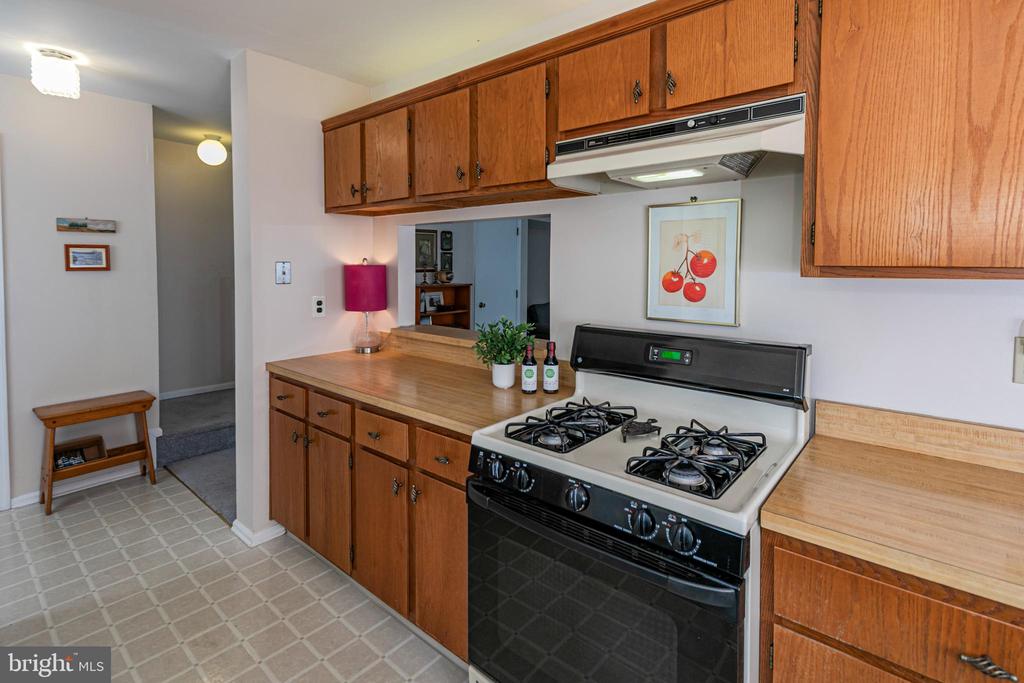 11 ABELIA COURT