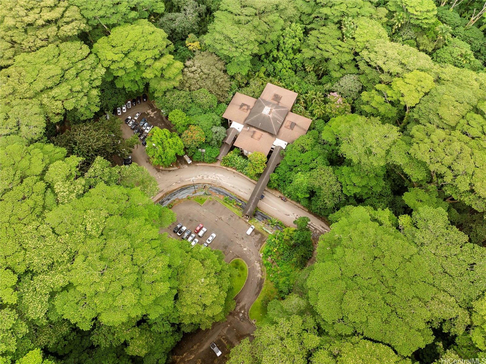 3737 Manoa Road