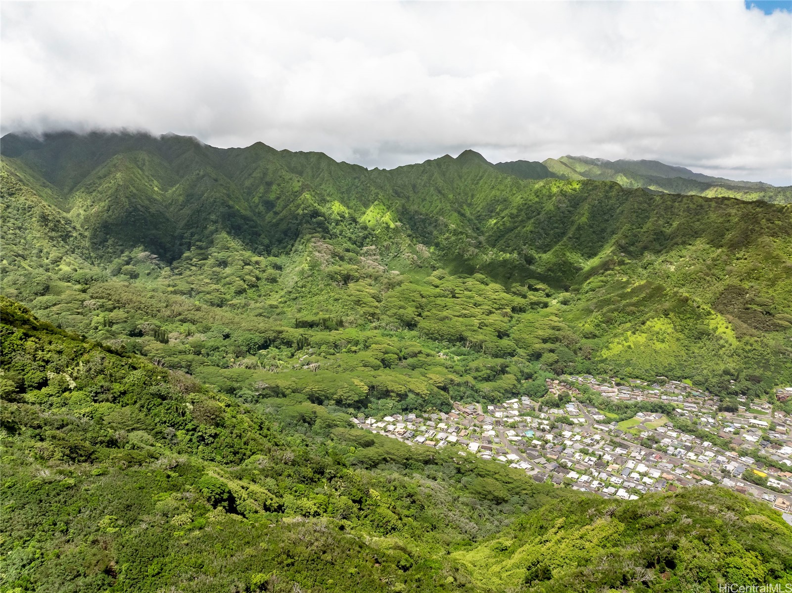 3737 Manoa Road