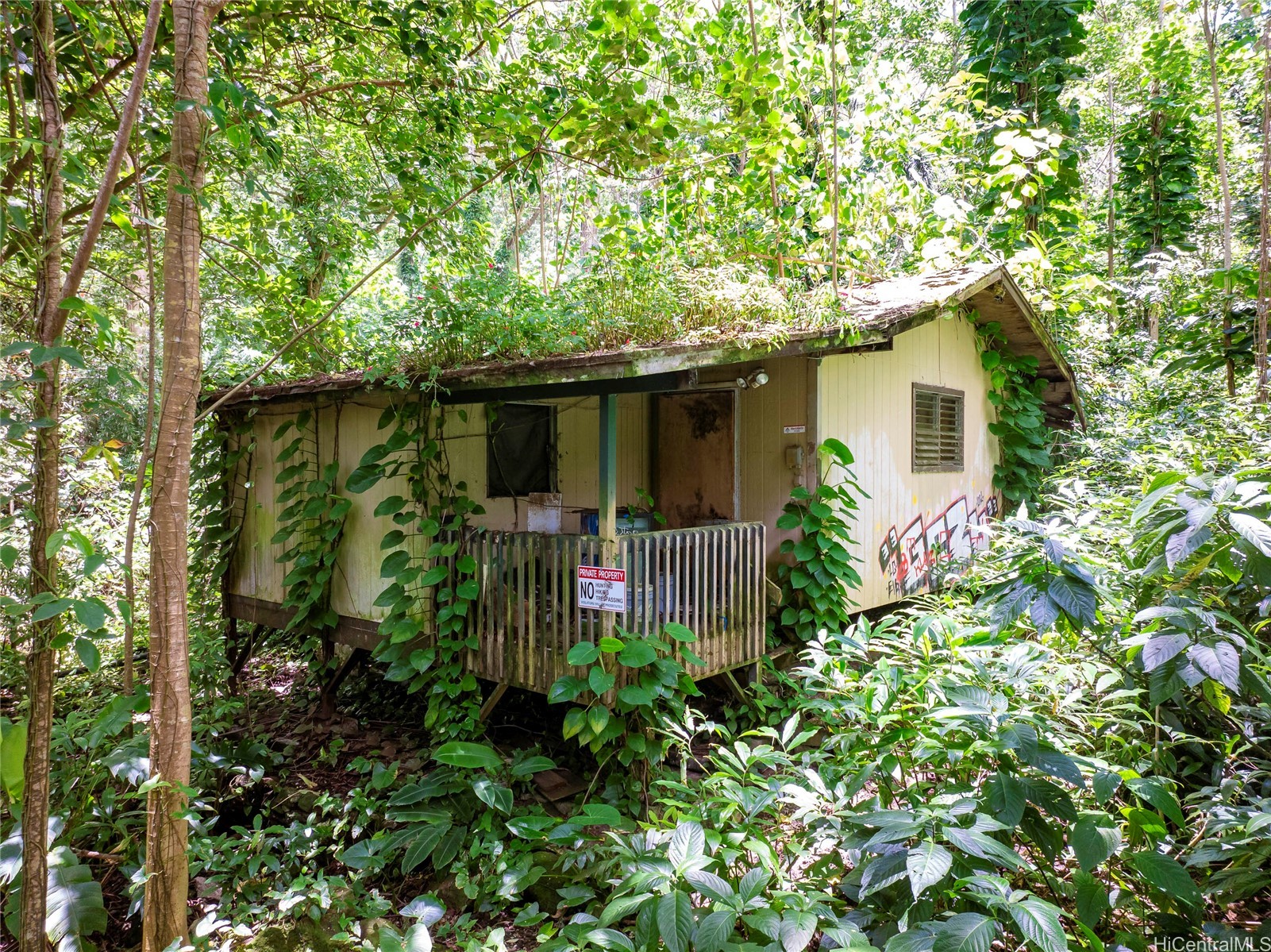 3737 Manoa Road