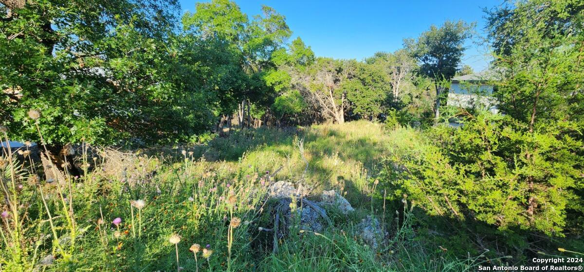 1697 winding creek
