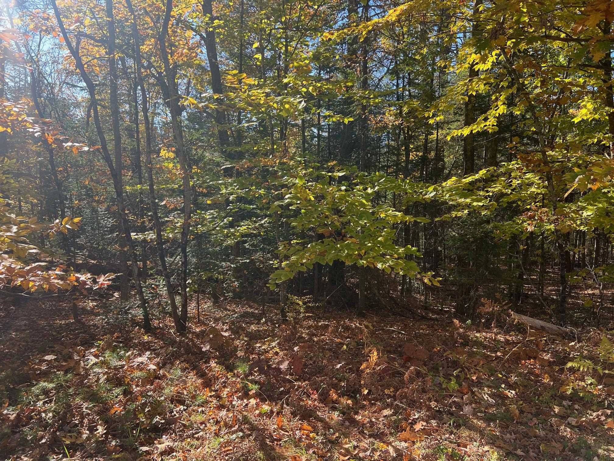 Lot#1 Shaker Jerry Road