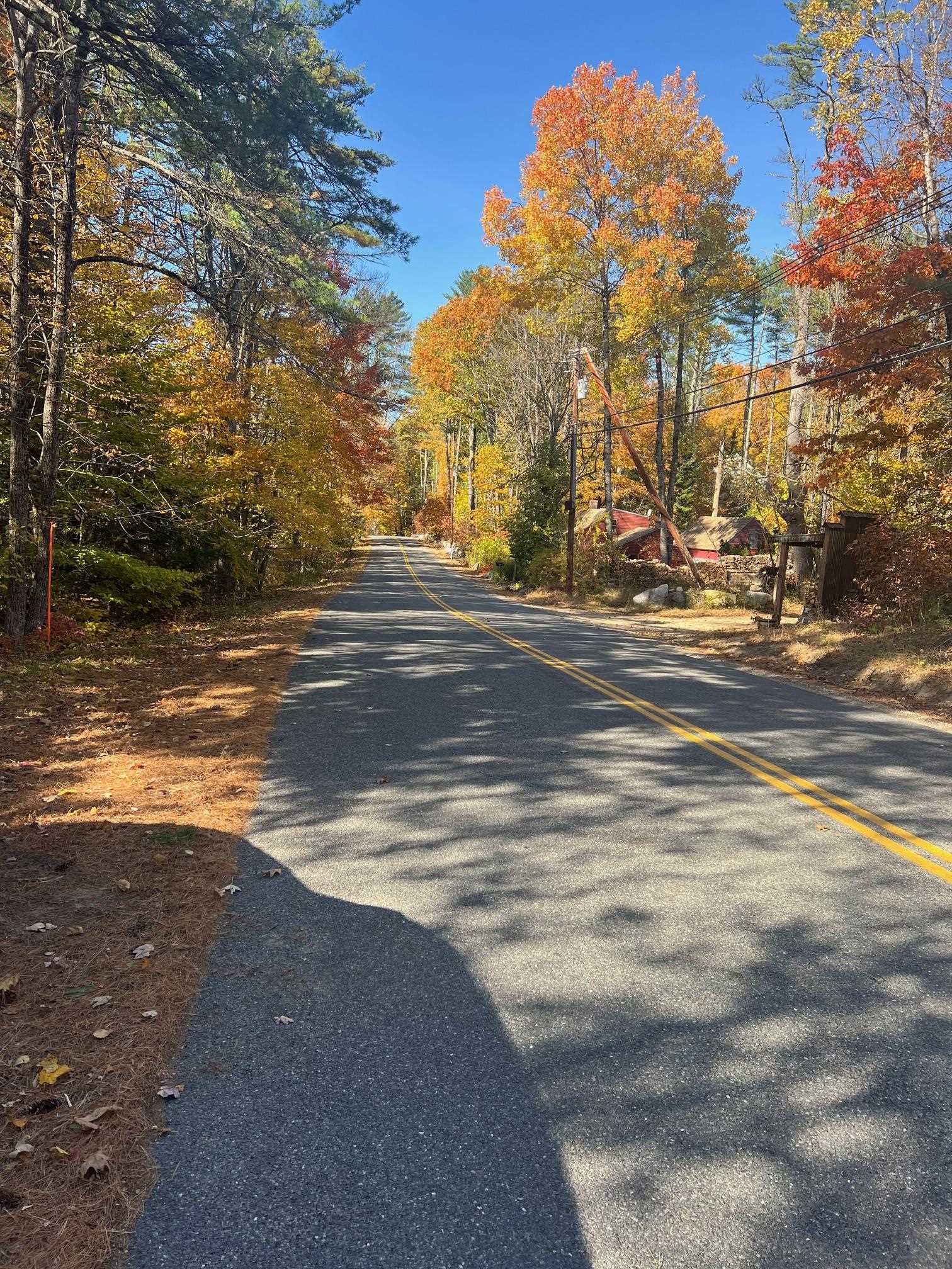 Lot#1 Shaker Jerry Road
