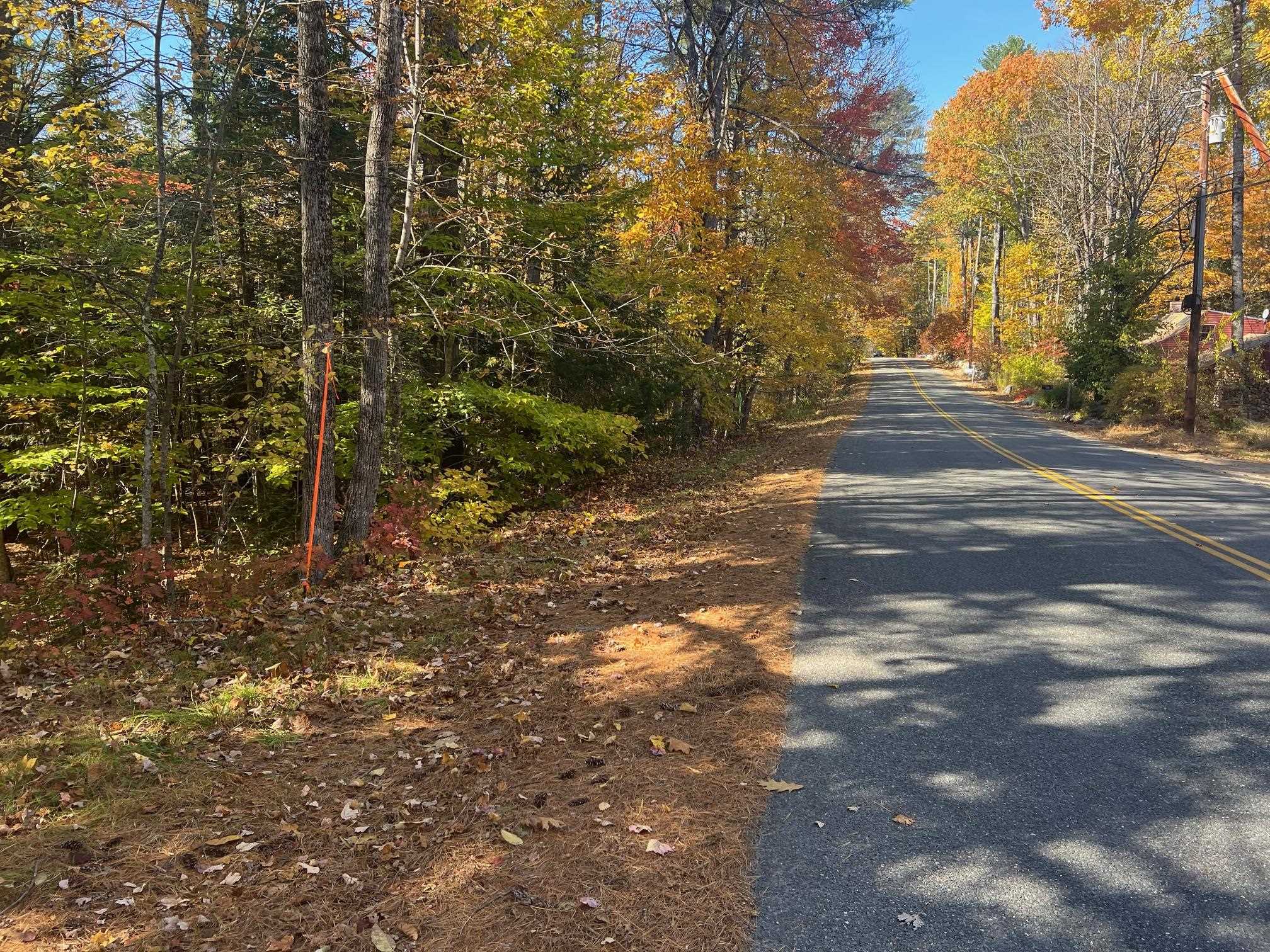 Lot#2 Shaker Jerry Road