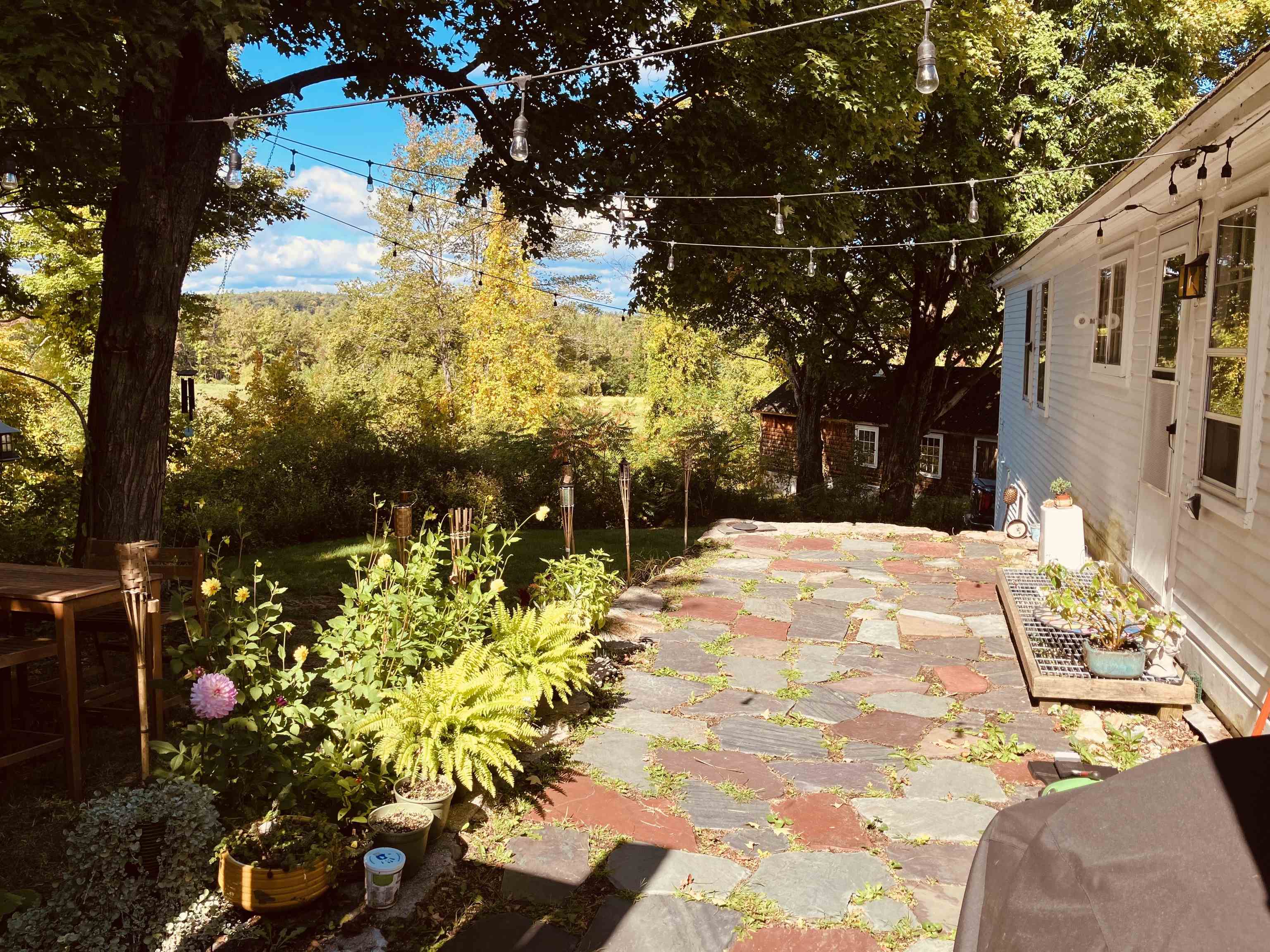 264 Old Lake Shore Road