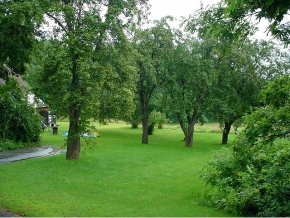 264 Old Lake Shore Road