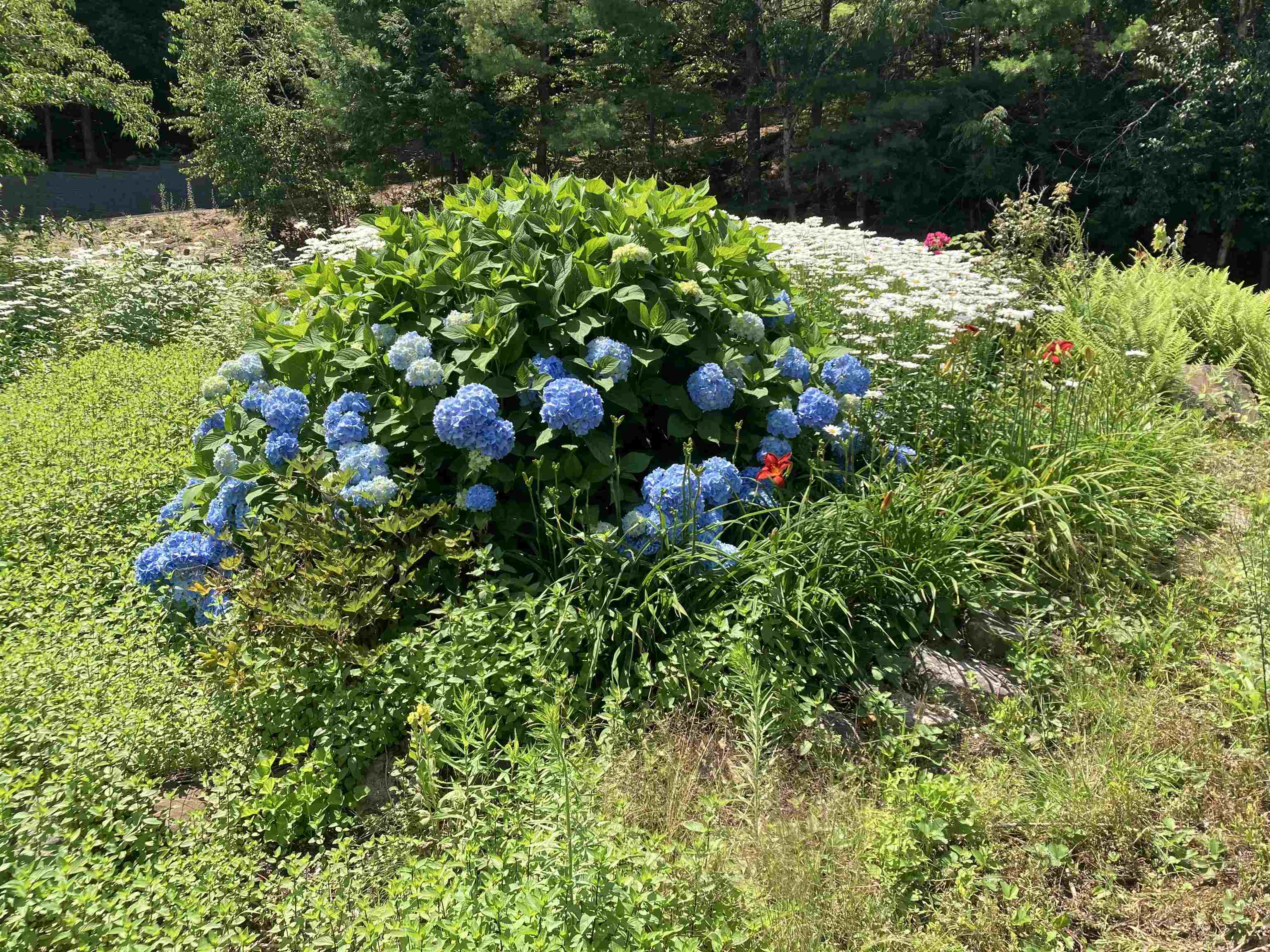 105 Juniper Ridge Road