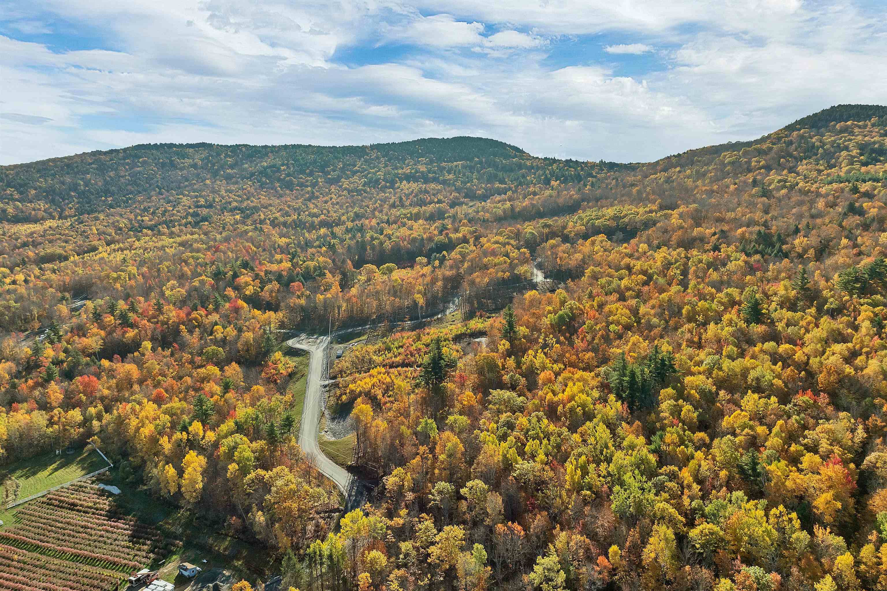 31 Homestead Drive