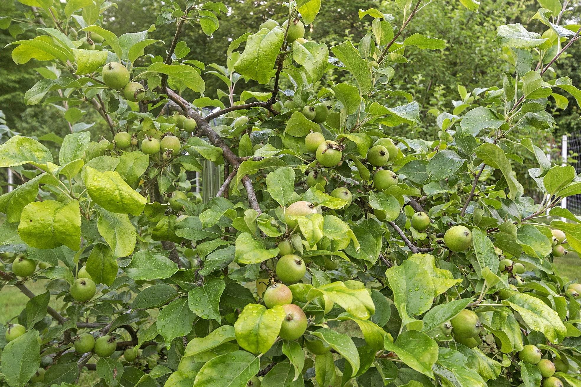 30 Leopard's Leap Road