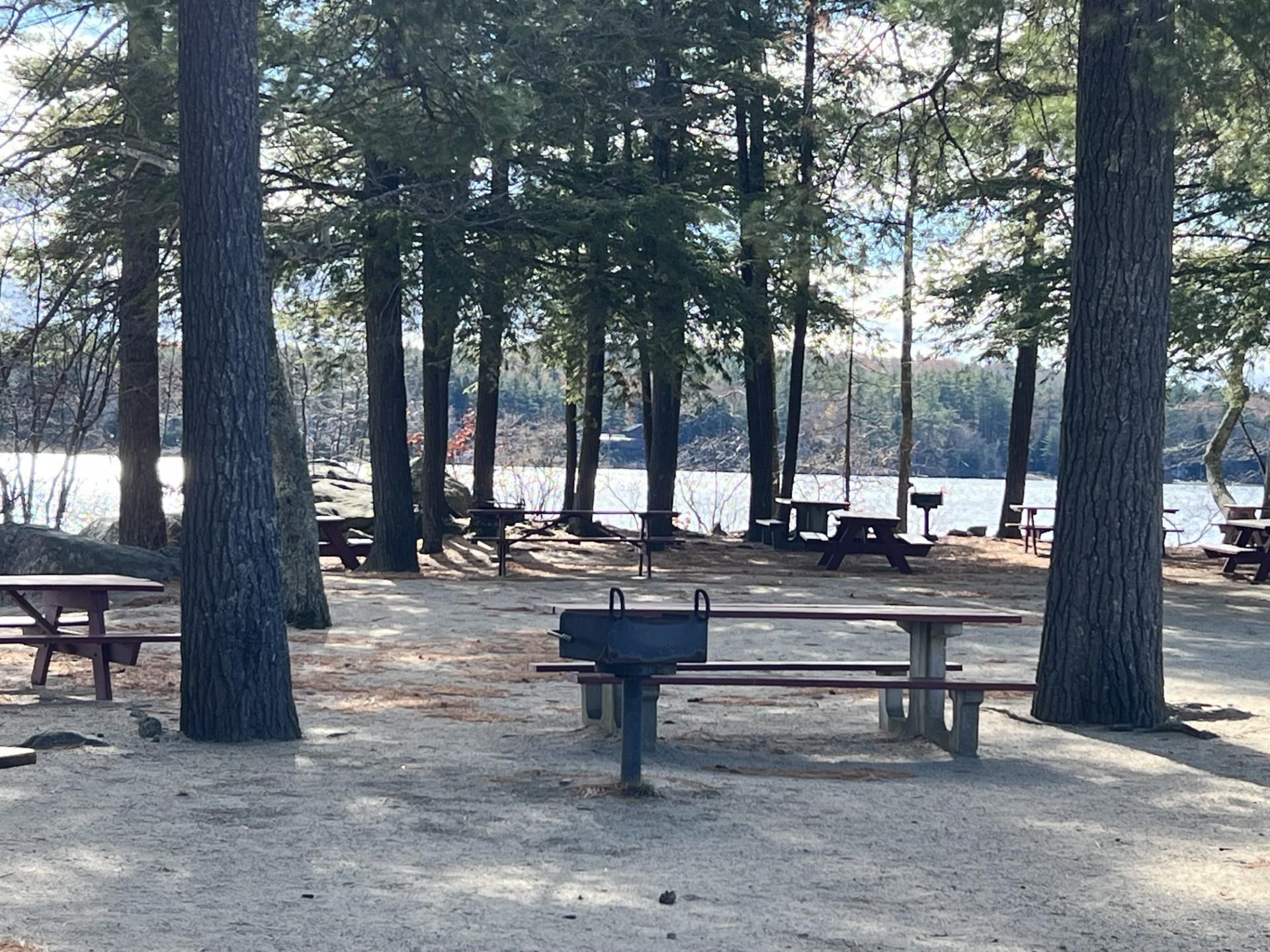 98 Wintersport Street