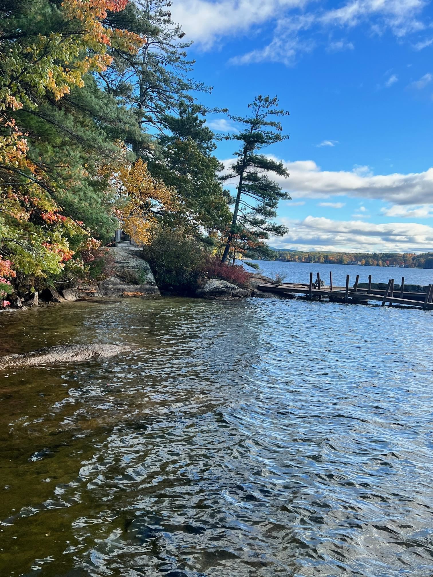 27 Pitchwood Island