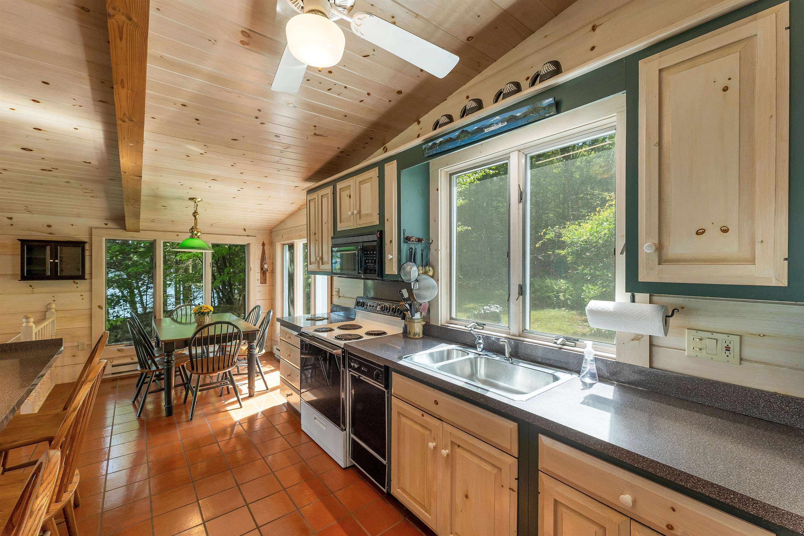 41 Pine Island