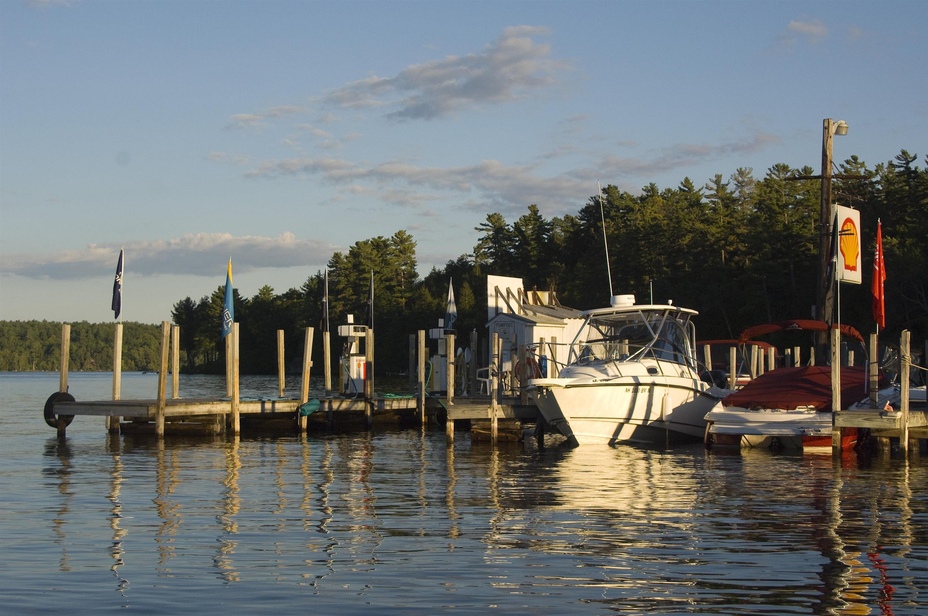 41 Pine Island
