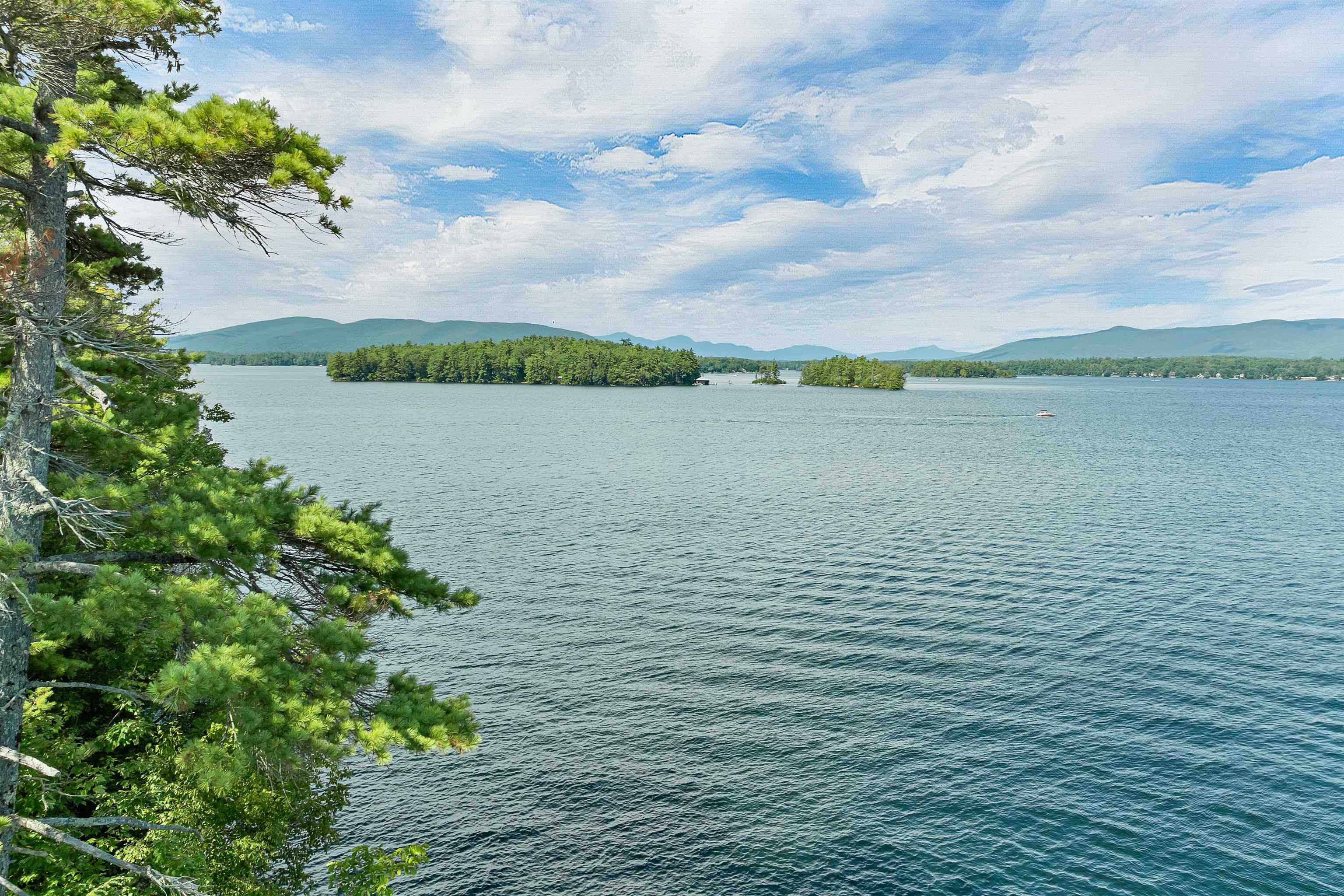 41 Pine Island