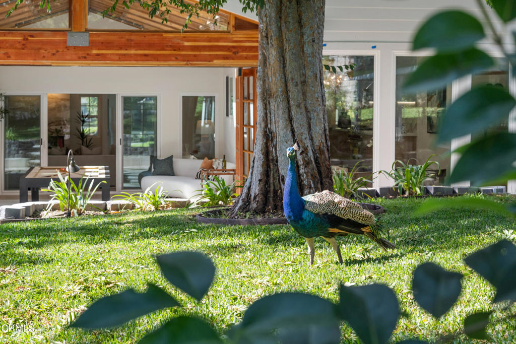 875 San Simeon Road