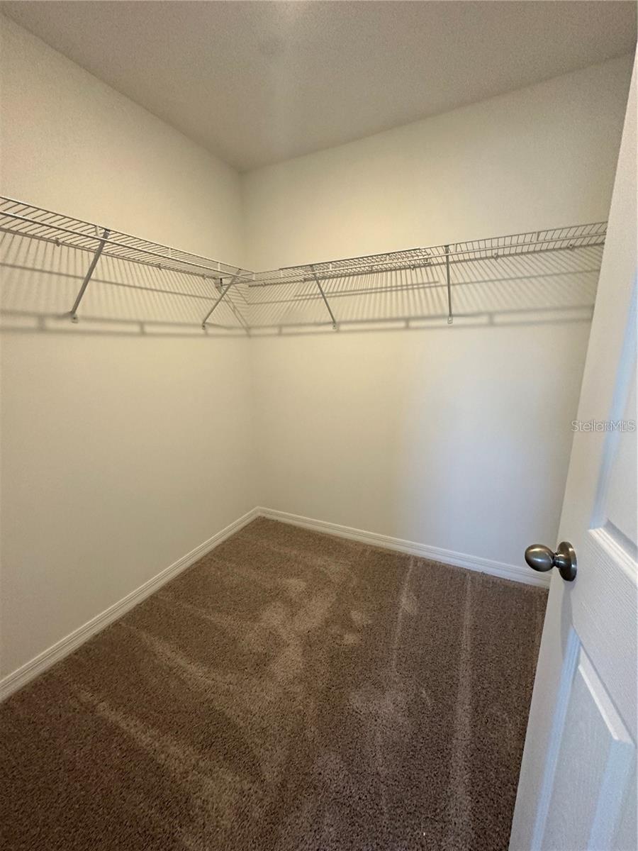 4474 BURROWING OWL LOOP