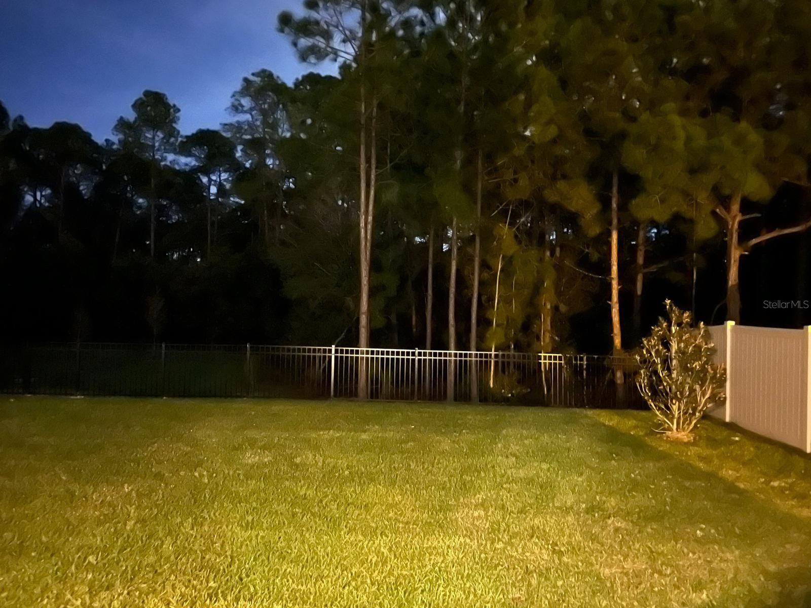 16420 WINDING PRESERVE CIR