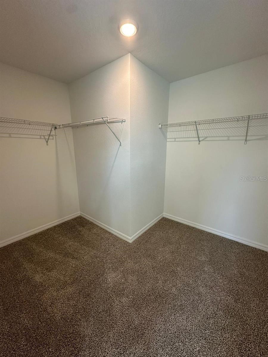 4354 RESTFUL FALLOW CV