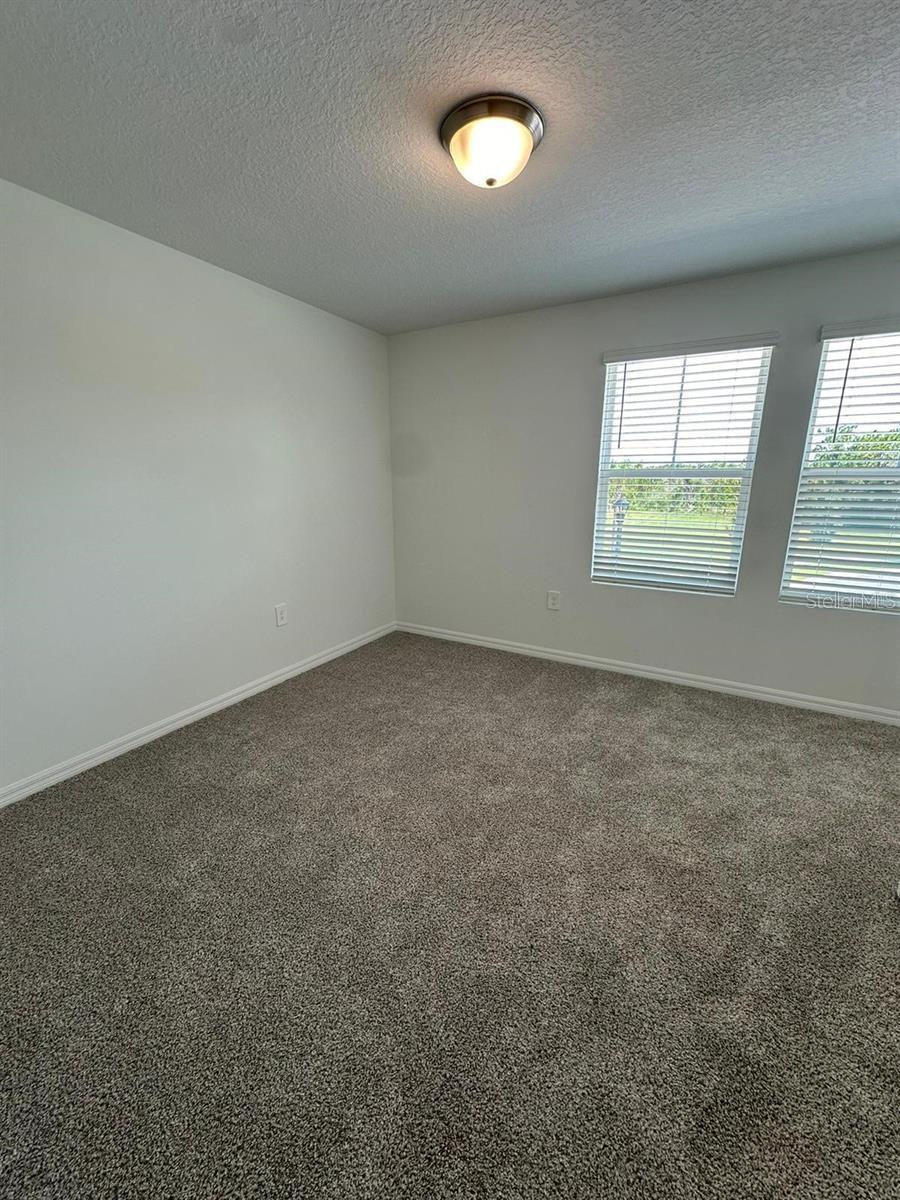 4354 RESTFUL FALLOW CV