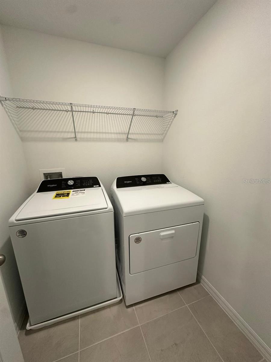 4354 RESTFUL FALLOW CV