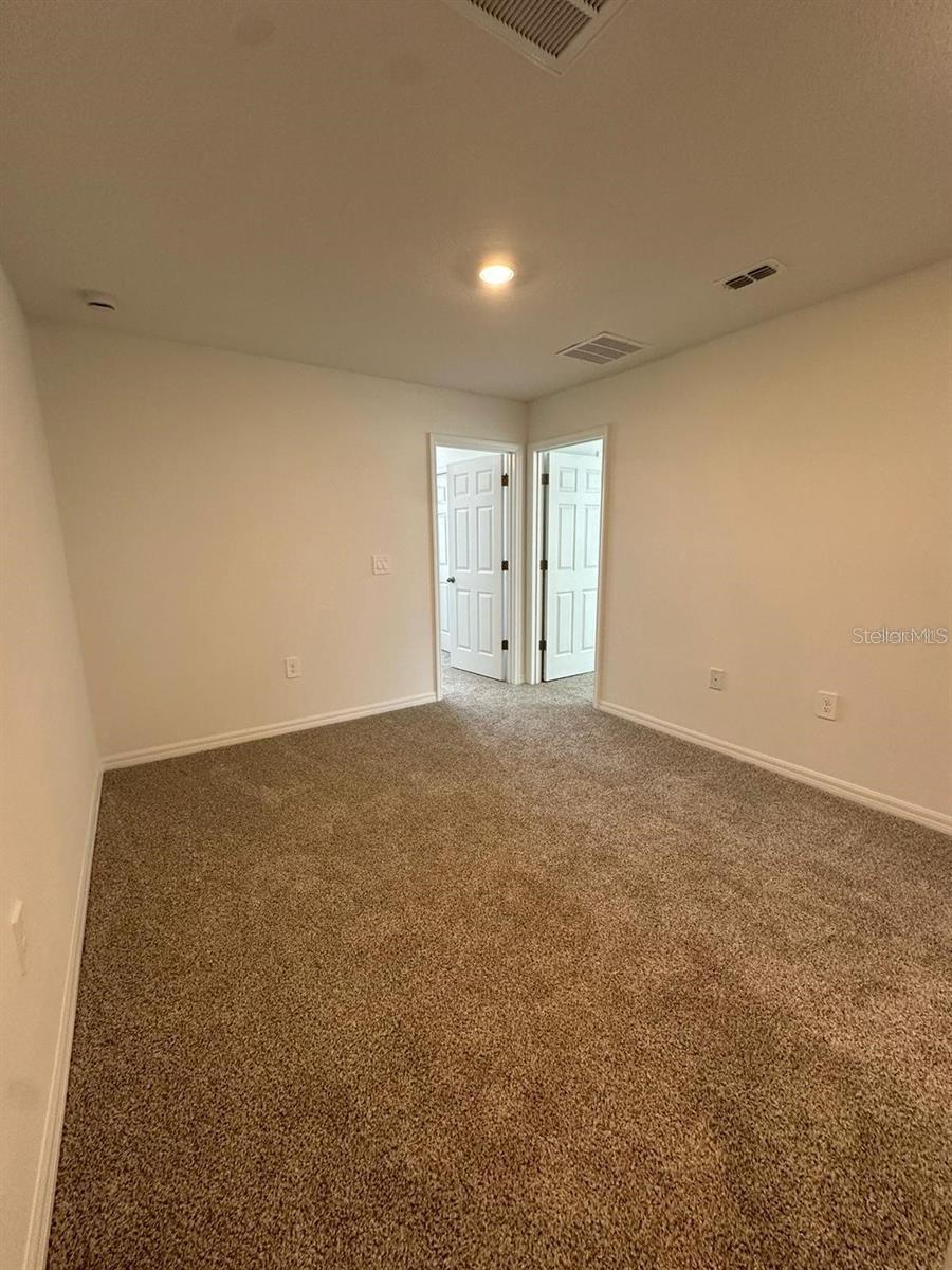 4354 RESTFUL FALLOW CV