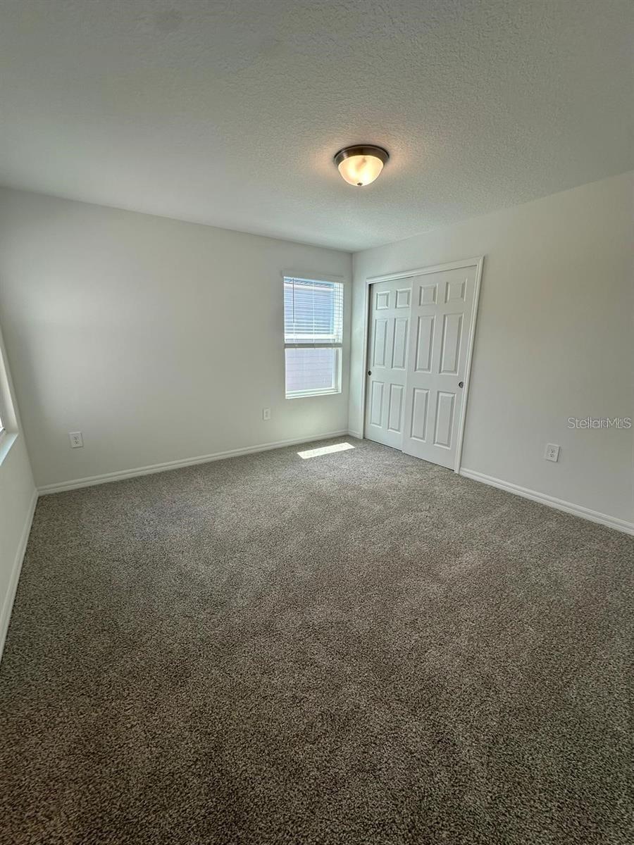 4354 RESTFUL FALLOW CV