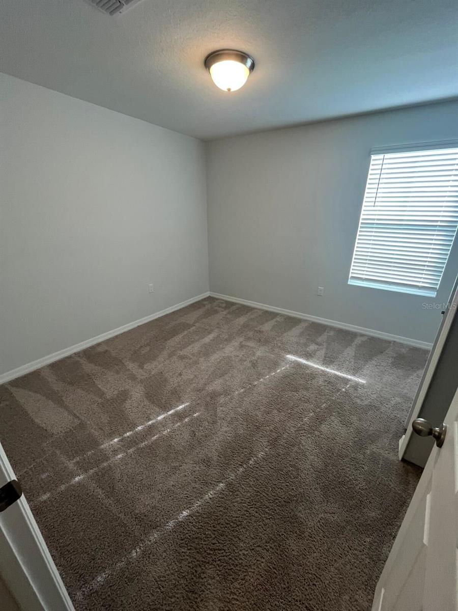 4474 BURROWING OWL LOOP