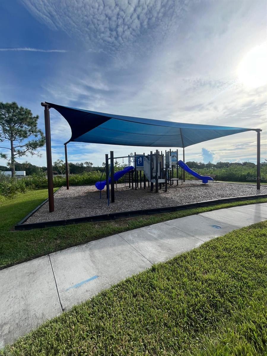 4474 BURROWING OWL LOOP