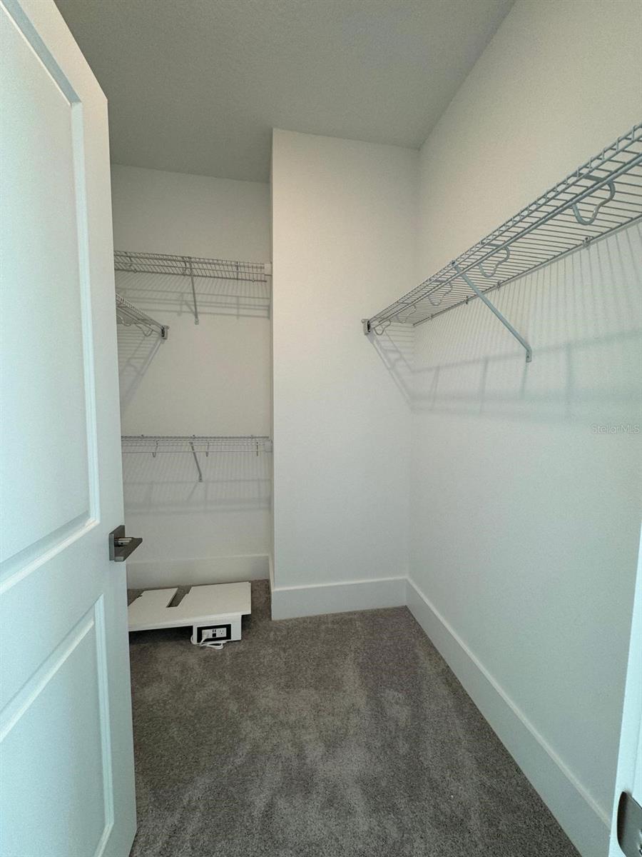 12832 LAVENDER BLOOM ALY