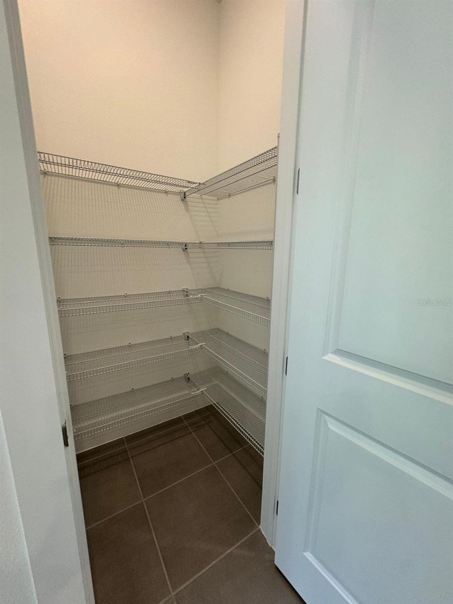 12832 LAVENDER BLOOM ALY