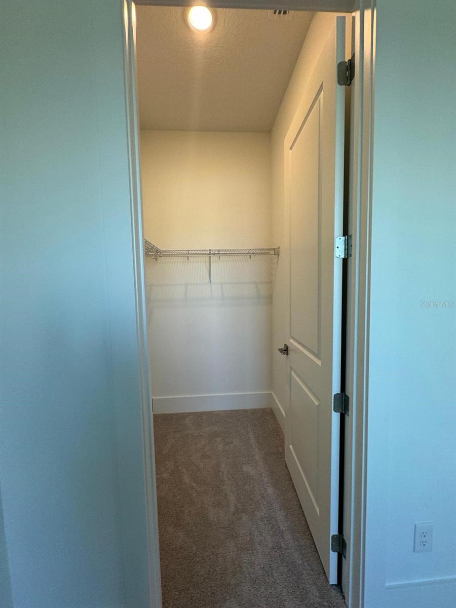 12832 LAVENDER BLOOM ALY