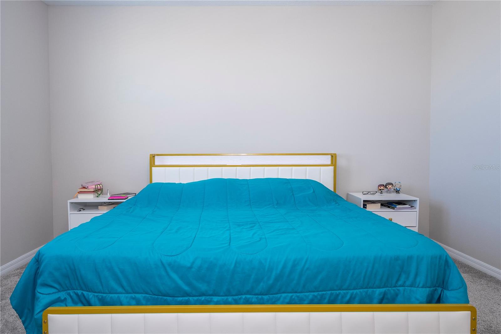 4994 CITRUS LEAF BLVD