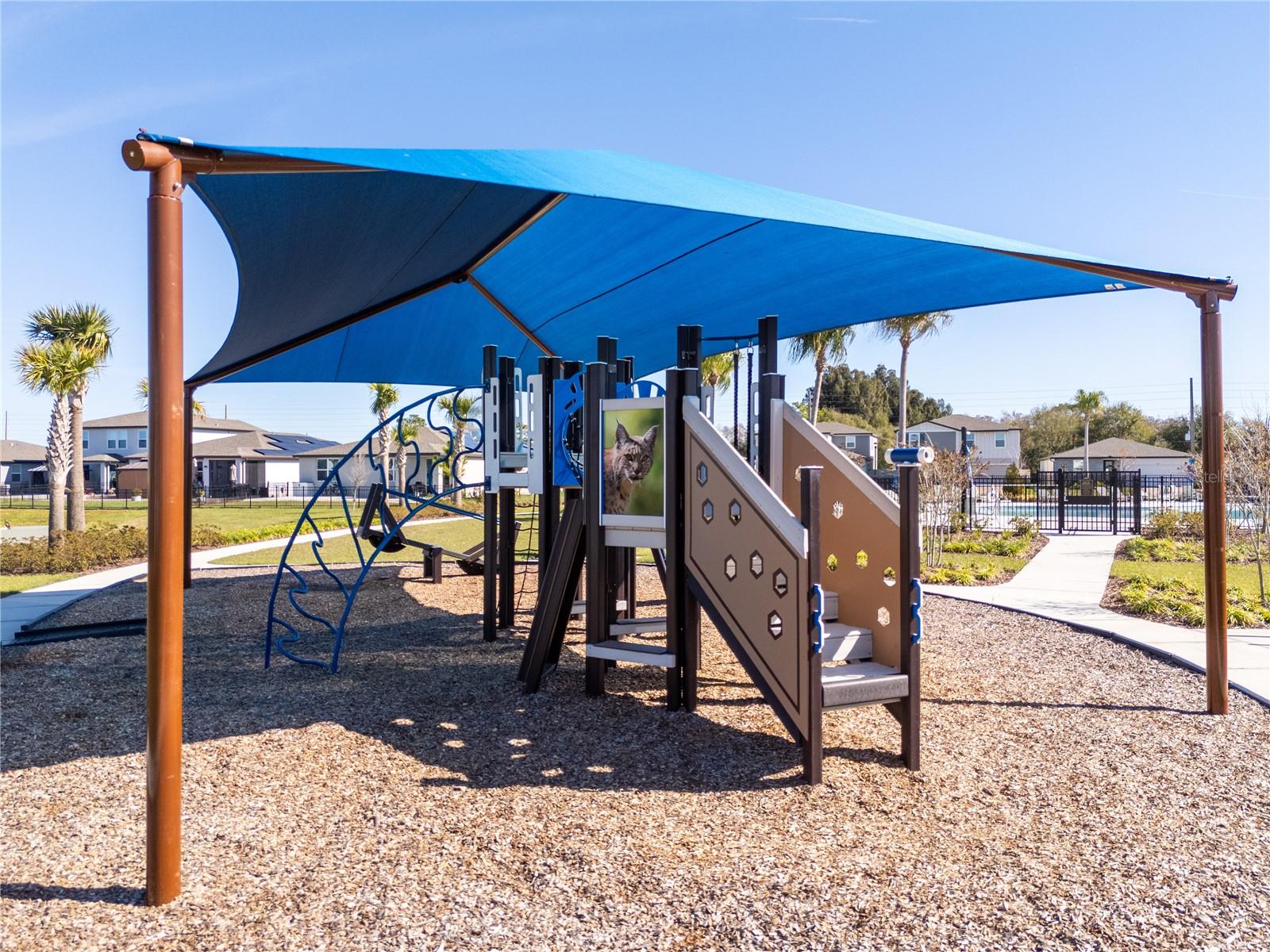 4549 BURROWING OWL LOOP