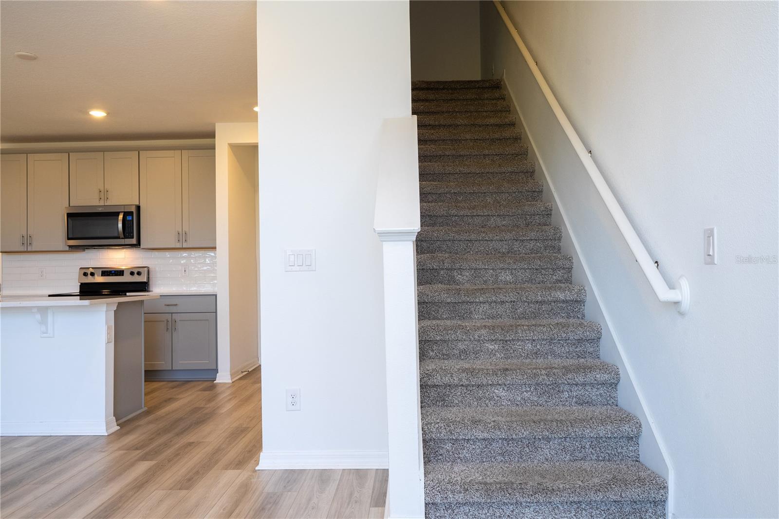 4549 BURROWING OWL LOOP